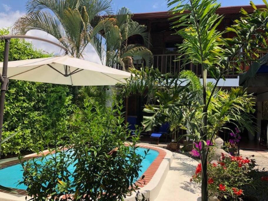 Casa Toucan Mit Privat Pool Near Np Ballena Uvita Exterior foto