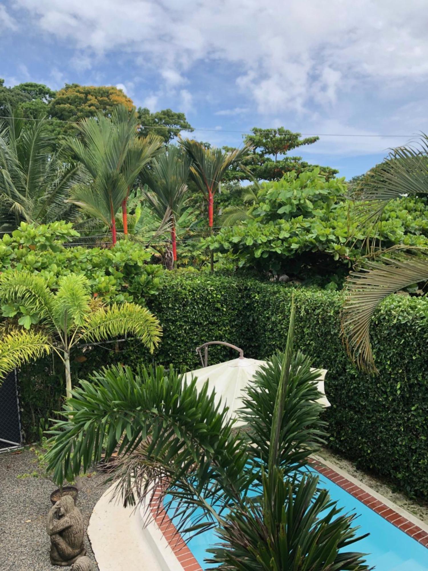 Casa Toucan Mit Privat Pool Near Np Ballena Uvita Exterior foto