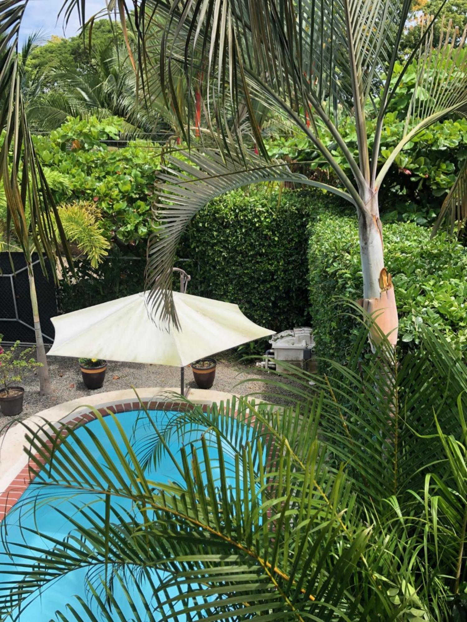 Casa Toucan Mit Privat Pool Near Np Ballena Uvita Exterior foto
